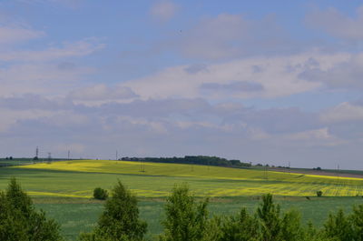 Scenic view of field against sky