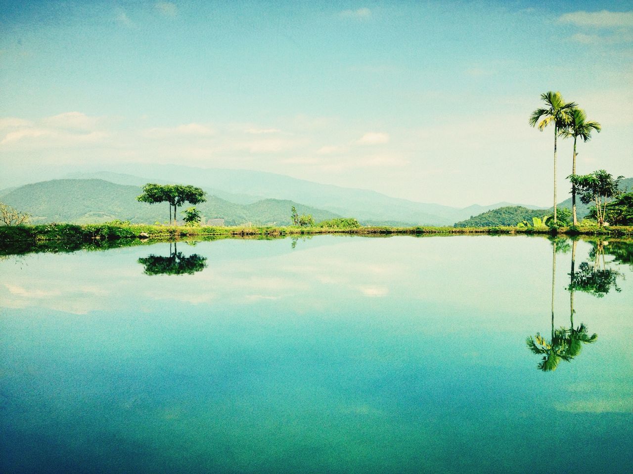 water, palm tree, tranquil scene, tranquility, tree, scenics, sky, beauty in nature, reflection, nature, sea, lake, mountain, waterfront, blue, idyllic, calm, cloud - sky, standing water, cloud