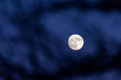 Low angle view of moon against sky