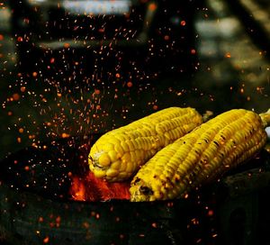 Close-up of yellow crab in water