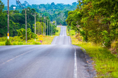 Road passing through forest