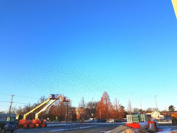 Birds flying over city against clear blue sky