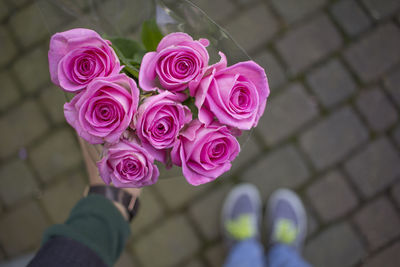 High angle view of pink roses