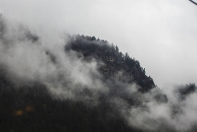 Low angle view of trees against sky