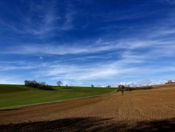 Scenic view of landscape against blue sky