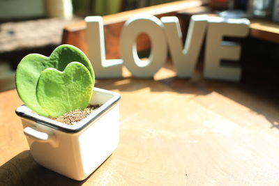 Close-up of potted plant with love shaped leaf on table