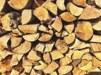 Full frame shot of firewood stack of logs in forest