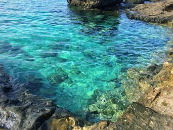 High angle view of rocks in water