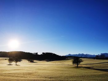 Scenic view of a field against clear sky