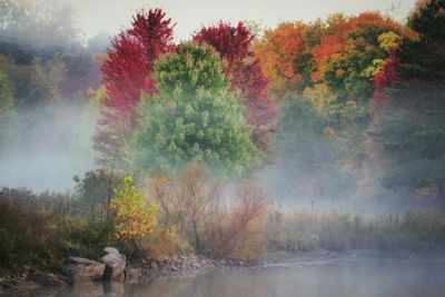 Scenic view of rainbow over river during autumn