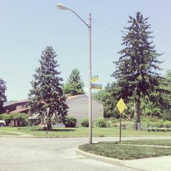 Empty road along trees