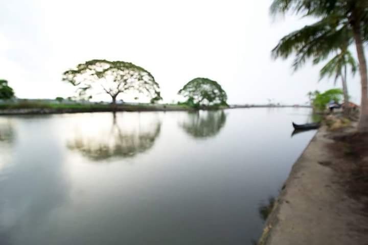 REFLECTION OF TREE IN WATER