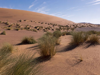 Scenic view of desert against sky