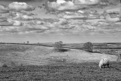 Field against cloudy sky