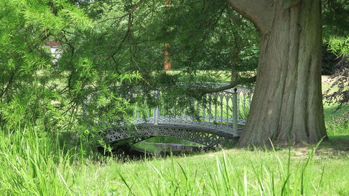 Arch bridge over canal amidst trees in forest