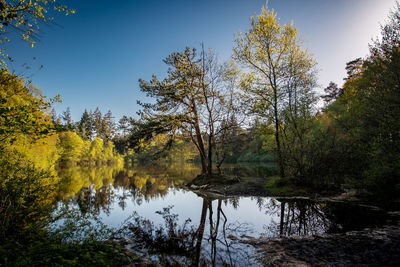 Reflection of trees in lake against sky during autumn