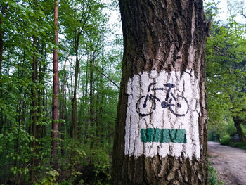 Text on tree trunk in forest
