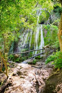 View of waterfall in forest