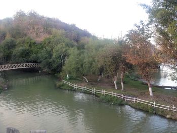 Scenic view of river by trees against sky