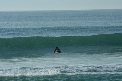 Man surfing in sea