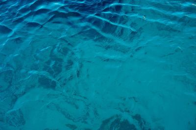 High angle view of swimming pool