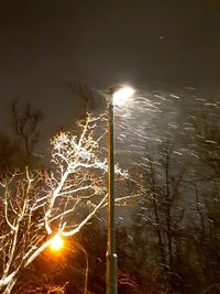 Illuminated street light by trees against sky at night