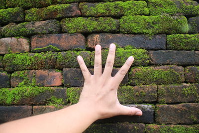 Cropped hand touching weathered brick wall