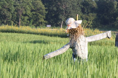 View of lizard on field