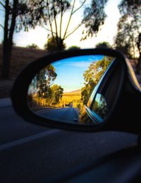 Reflection of trees on side-view mirror