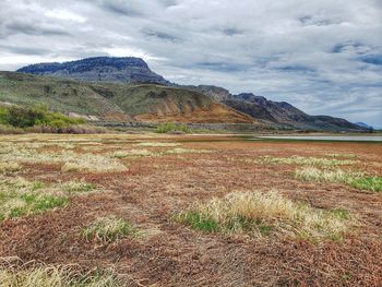 Scenic view of field against sky