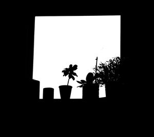 Low angle view of silhouette trees against clear sky