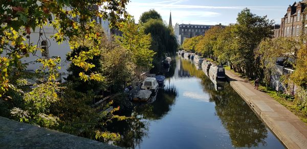 Scenic view of river amidst trees against sky
