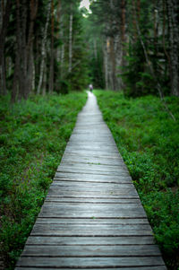 Narrow wooden pathway along trees in forest