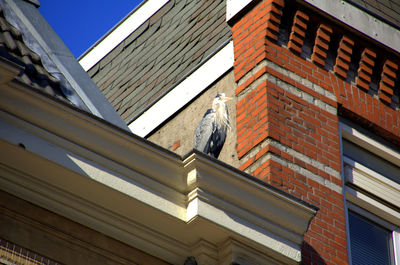 Low angle view of building