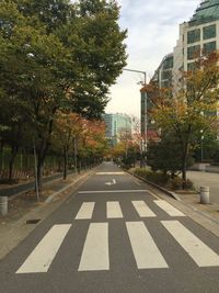 Road along trees in city