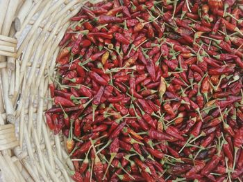 High angle view of red chili peppers