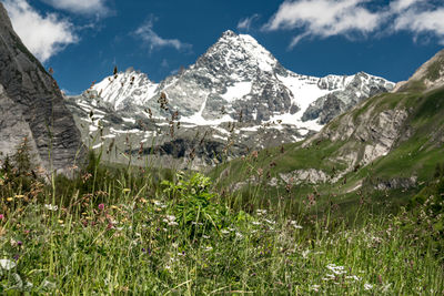 Scenic view of landscape and mountains against sky