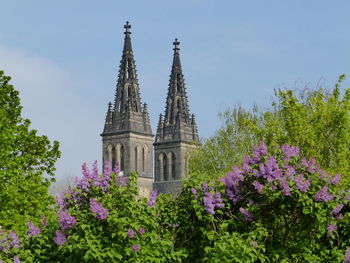 Low angle view of flowering plant against building