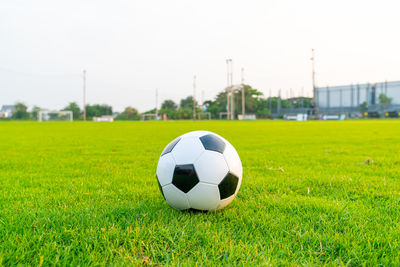 Soccer ball on grassy field