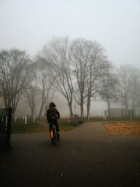 Rear view of man riding bicycle on road against sky