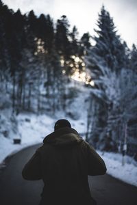 Rear view of woman on snow covered trees