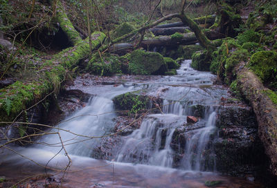 View of waterfall in forest