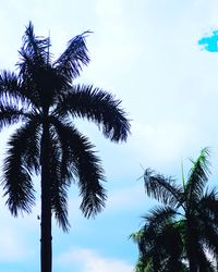 Low angle view of palm trees against blue sky