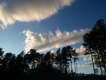 Low angle view of silhouette trees against sky