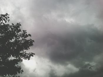 Low angle view of trees against cloudy sky