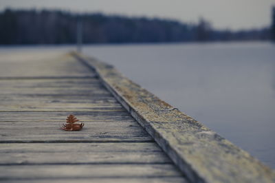 Close-up of pier