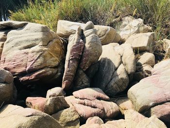 Stack of stones in forest