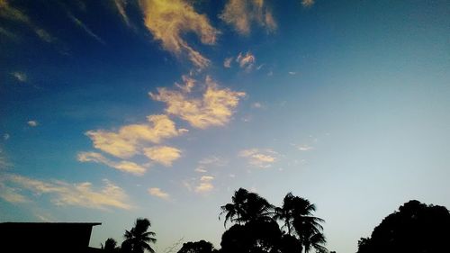 Low angle view of silhouette trees against sky