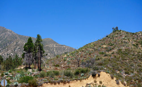 Low angle view of mountain against clear blue sky