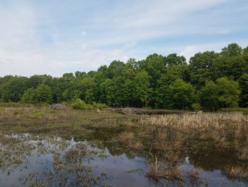 Scenic view of lake against sky